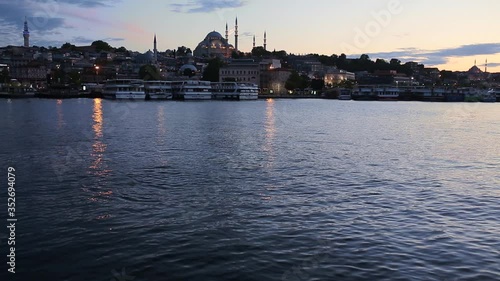 A group of dolphins in Istanbul
