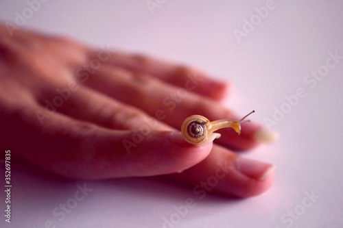 Human friendship with a snail.