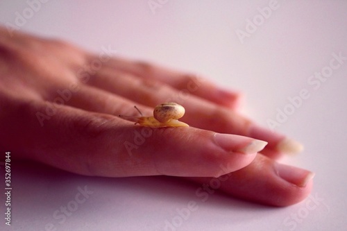 Human friendship with a snail.