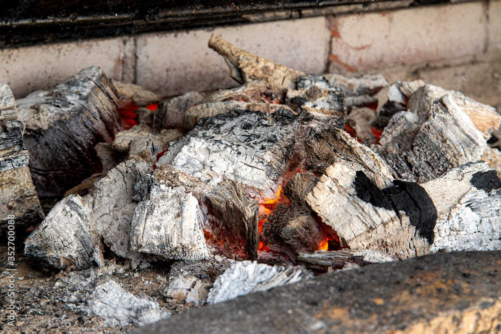 Details of charcoal for barbecue at picnic Details of charcoal for barbecue at picnic