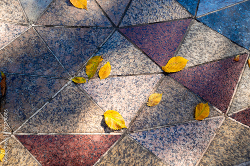 Autumn leaves on a multi-colored stone paving of a beautiful square. Detail of colored stone paving of a beautiful square.