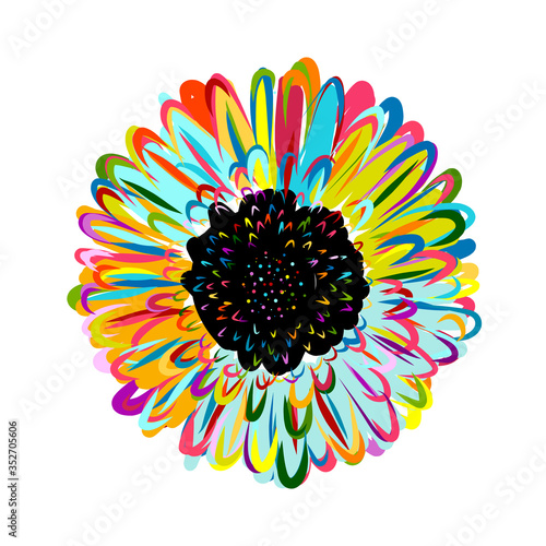 Multicolored daisy, chamomile flower isolated. Sketch for your design