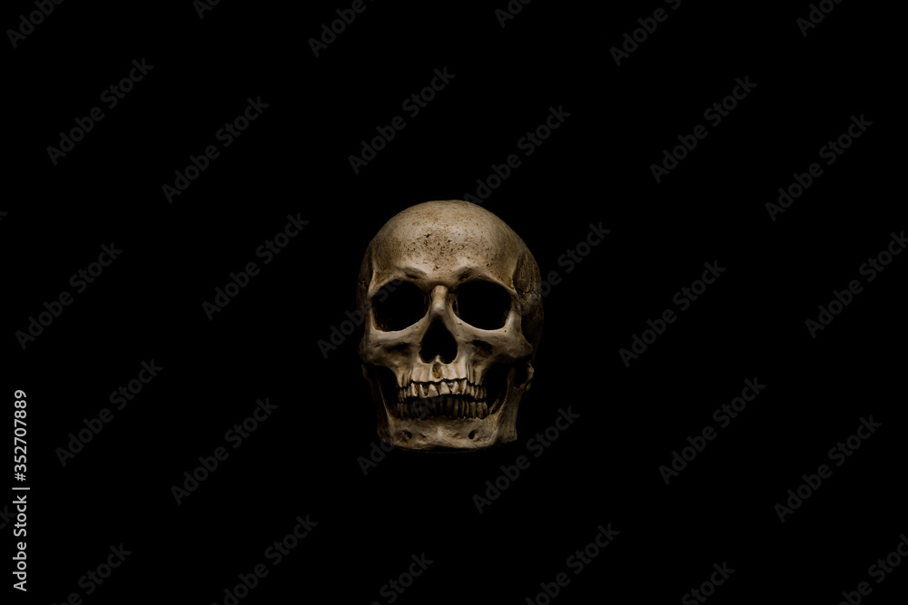 Skull Skull
