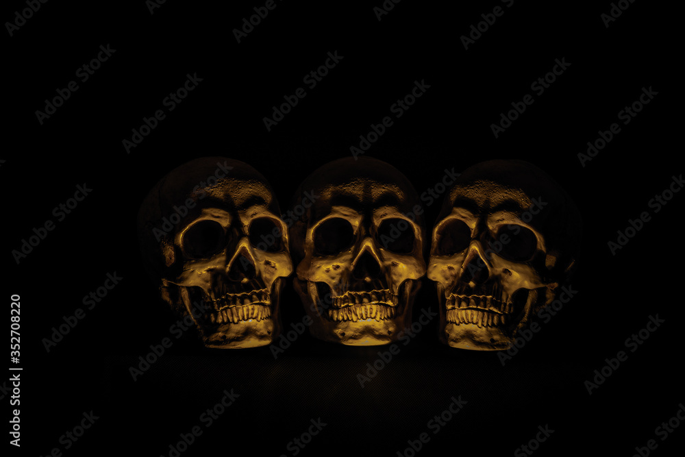 Skulls Skulls