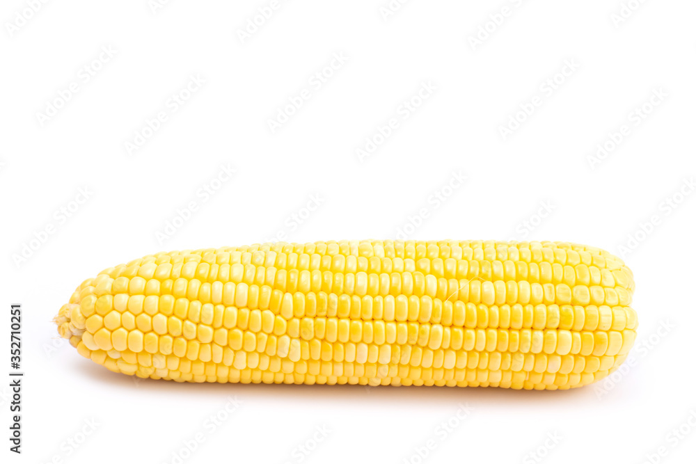 Fresh corn isolated on white background Fresh corn isolated on white background