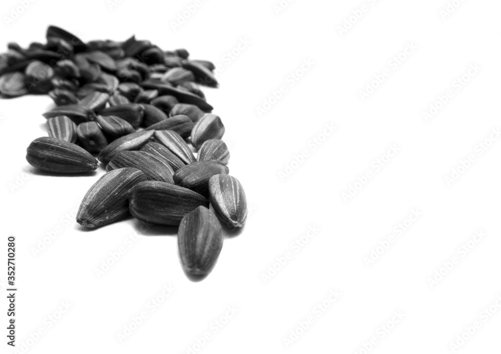 Sunflower seeds isolated on a white background. Sunflower seeds isolated on a white background.