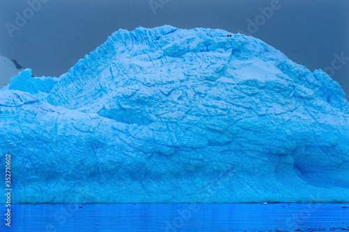 Snowing Floating Blue Iceberg Reflection Paradise Bay Skintorp Cove Antarctica photo