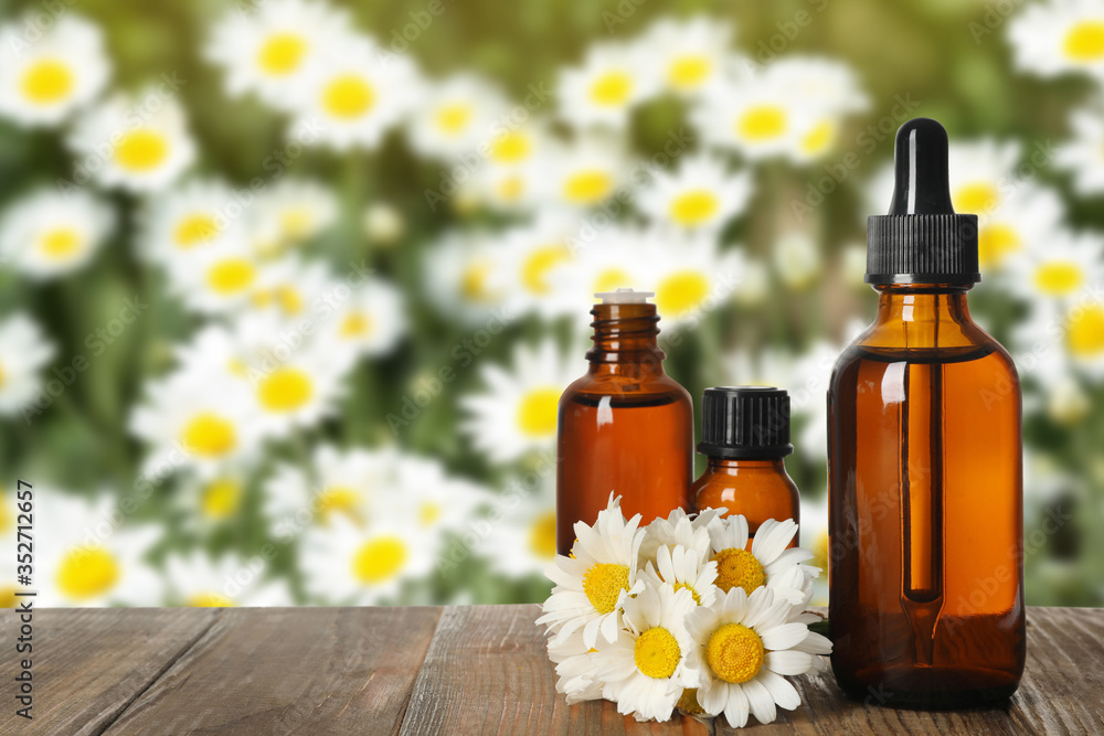 Bottles of essential oil and chamomile flowers on wooden table against blurred background. Space for text Bottles of essential oil and chamomile flowers on wooden table against blurred background. Space for text