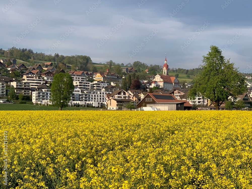 Ruswil - Dorf / Gemeinde im Kanton Luzern, im Hintergrund gelbes Raps Feld,  Schweiz