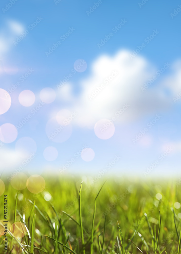 Green grass and blue sky on sunny day Green grass and blue sky on sunny day