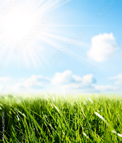 Green grass and blue sky on sunny day