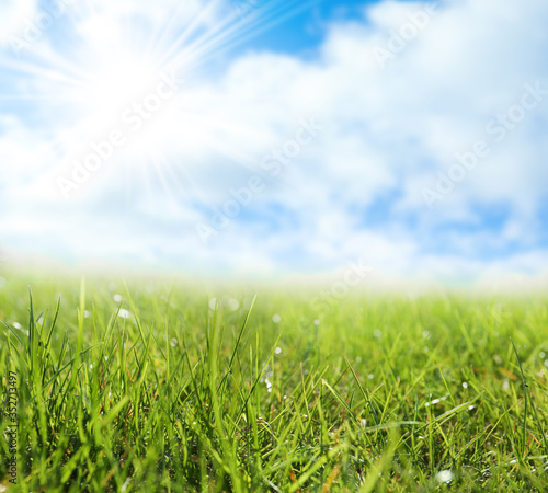 Green grass and blue sky on sunny day