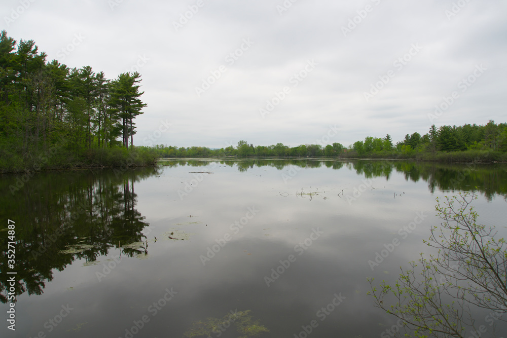 A lake on a grey day