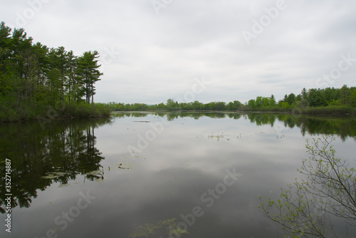 Fototapeta Naklejka Na Ścianę i Meble -  A lake on a grey day