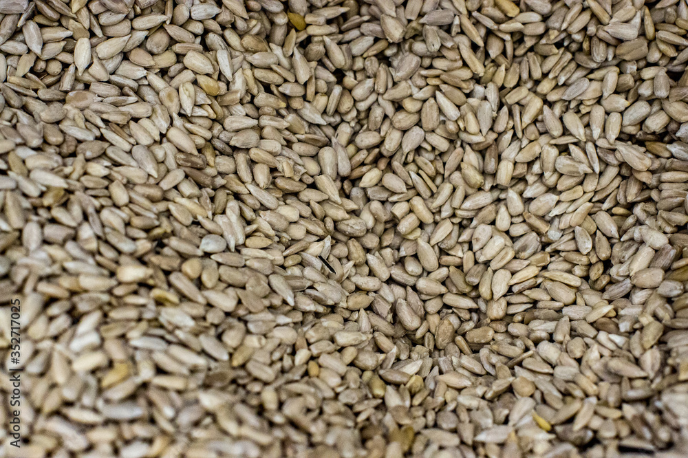 Sunflower Seeds Texture As Background. Sunflower Seeds Texture As Background.