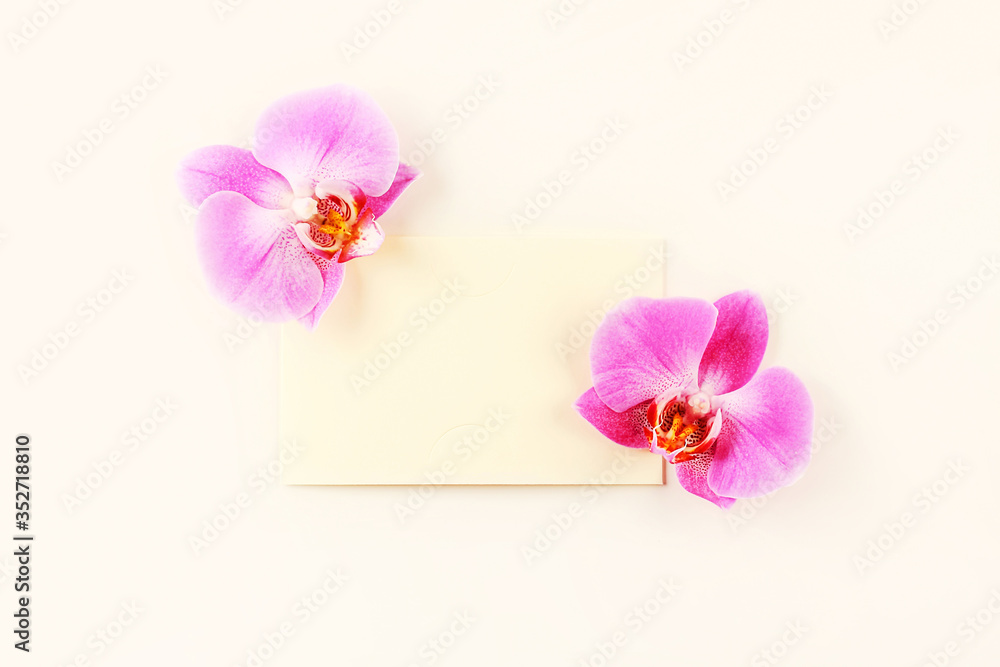 Fototapeta premium Orchid flowers with pink envelope on a light background. Minimal composition. Mock-up, creative minimalism, flat lay. Top view, copy space.