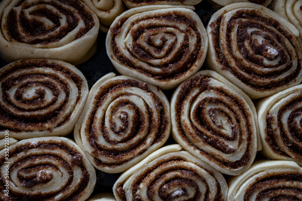 Looking Down on Rising Cinnamon Rolls Looking Down on Rising Cinnamon Rolls