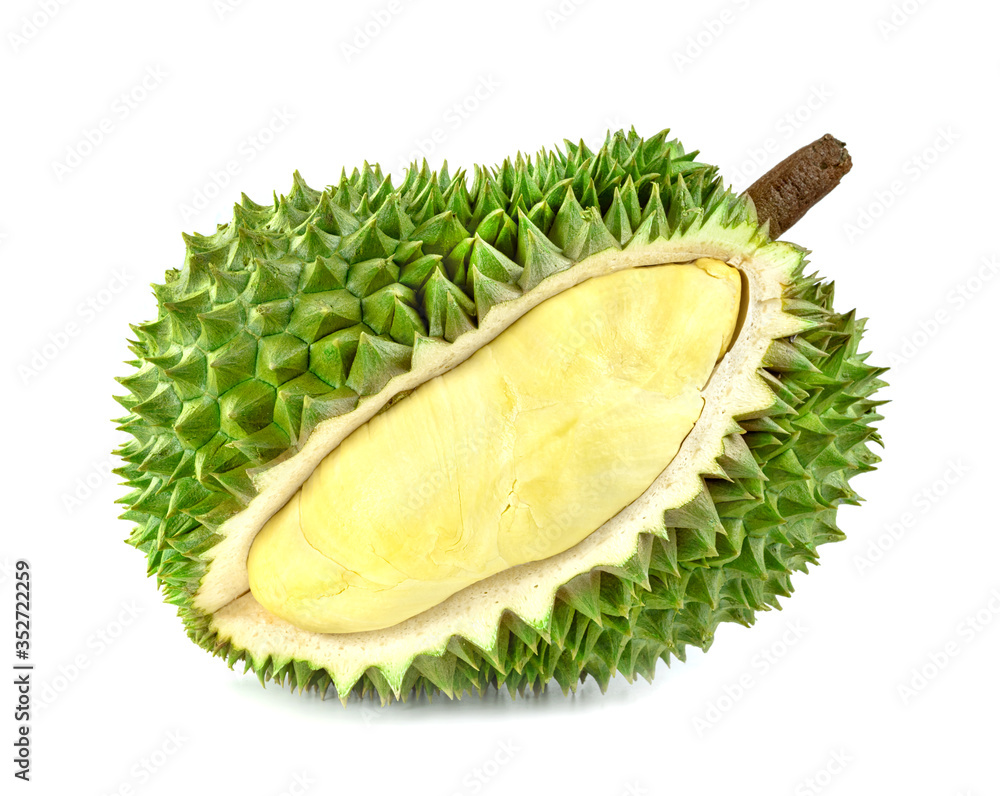 Fototapeta premium durian fruit isolated on white background