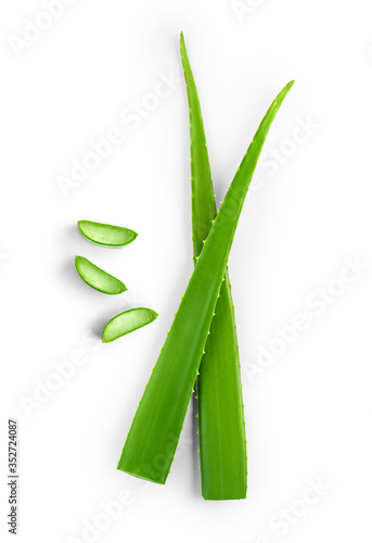 Top view of  fresh sliced Aloe Vera leaf isolated on white background photo