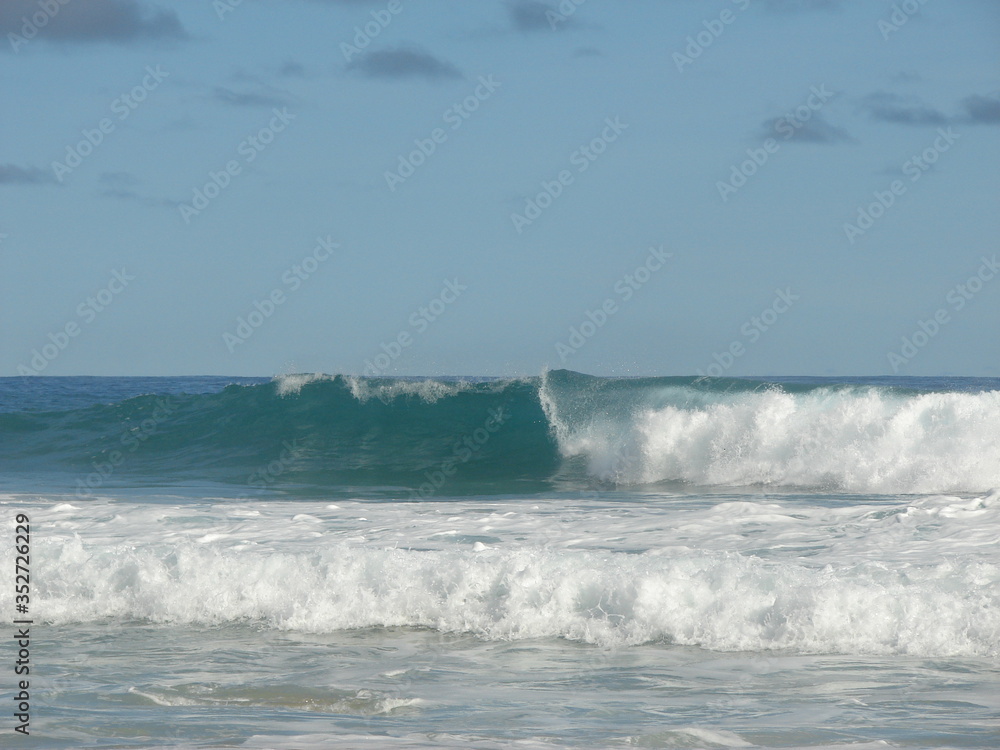 Fototapeta premium Crista