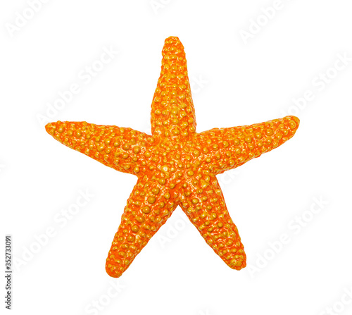 Starfish toy isolated on white background.