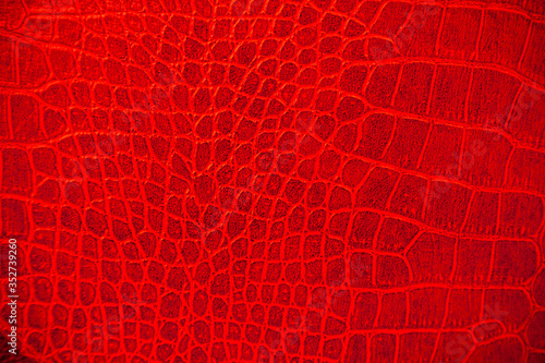 Red skin leather texture