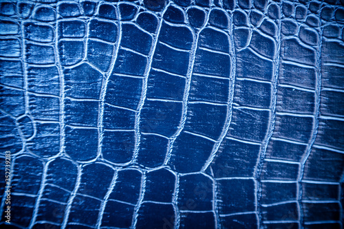 Blue skin leather texture