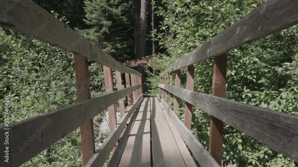 Amazing wood bridge in green lush forest pacific northwest zooming tracking in towards trees bright sunny day oregon slow motion Amazing wood bridge in green lush forest pacific northwest zooming tracking in towards trees bright sunny day oregon slow motion