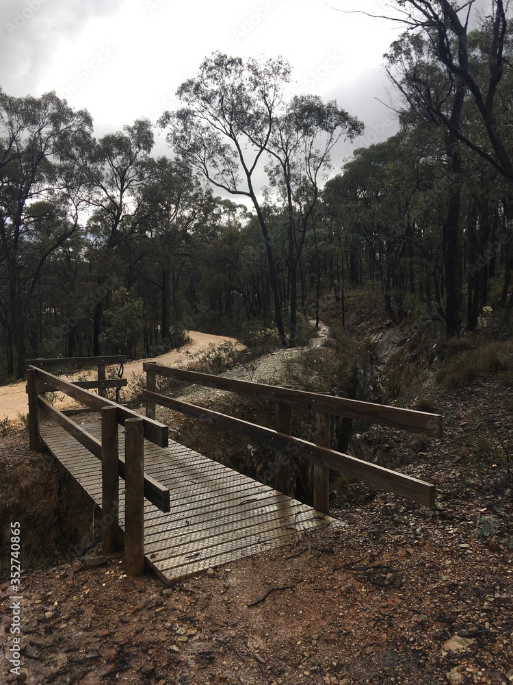 bridge in the forest and bush land