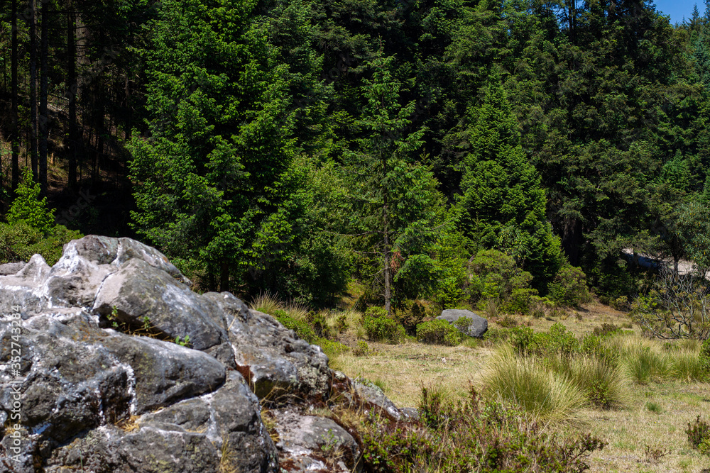 national park La Marquesa Mexico city