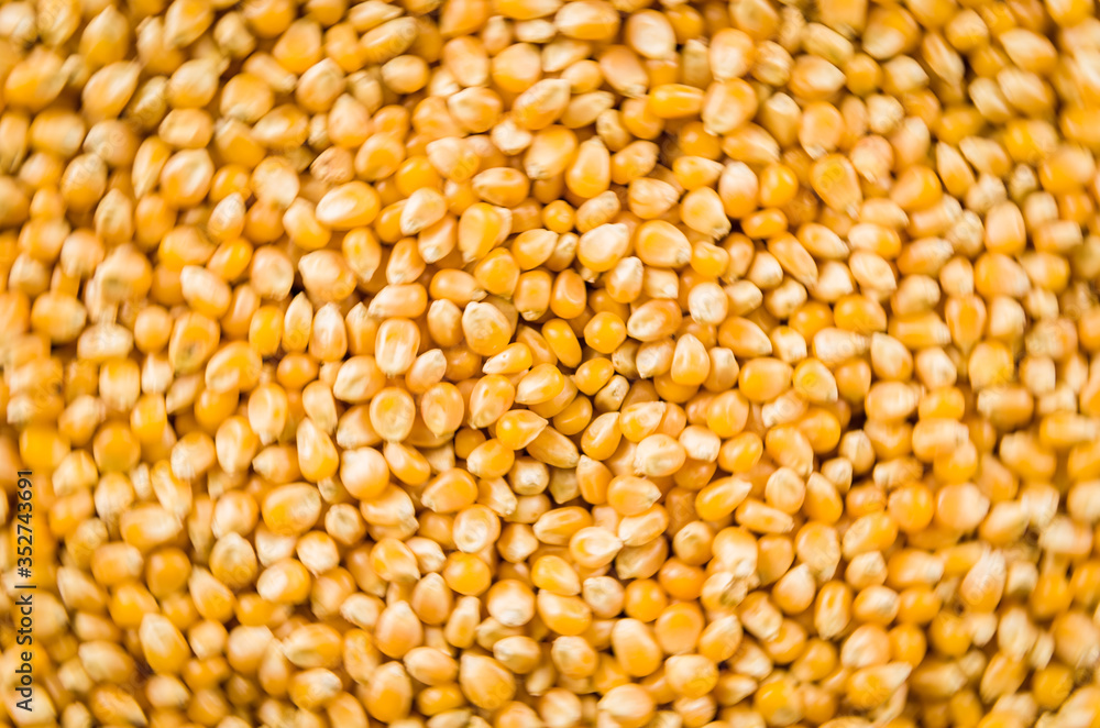 Beautiful background of popcorn for various uses. Beautiful background of popcorn for various uses.