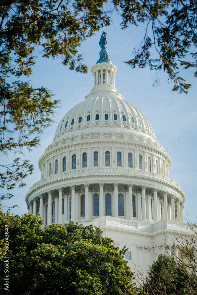 Fototapeta premium Close-up of the United States Capitol Building in Washington DC, framed by green Trees