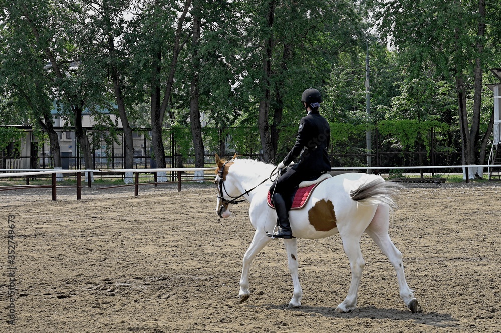 The young jockey conducts classes in the paddock Dressage. The young jockey conducts classes in the paddock Dressage.