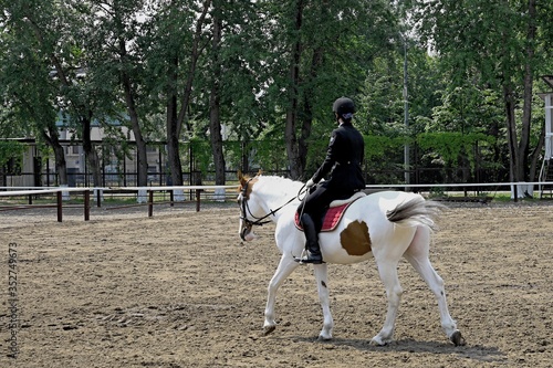 The young jockey conducts classes in the paddock Dressage.