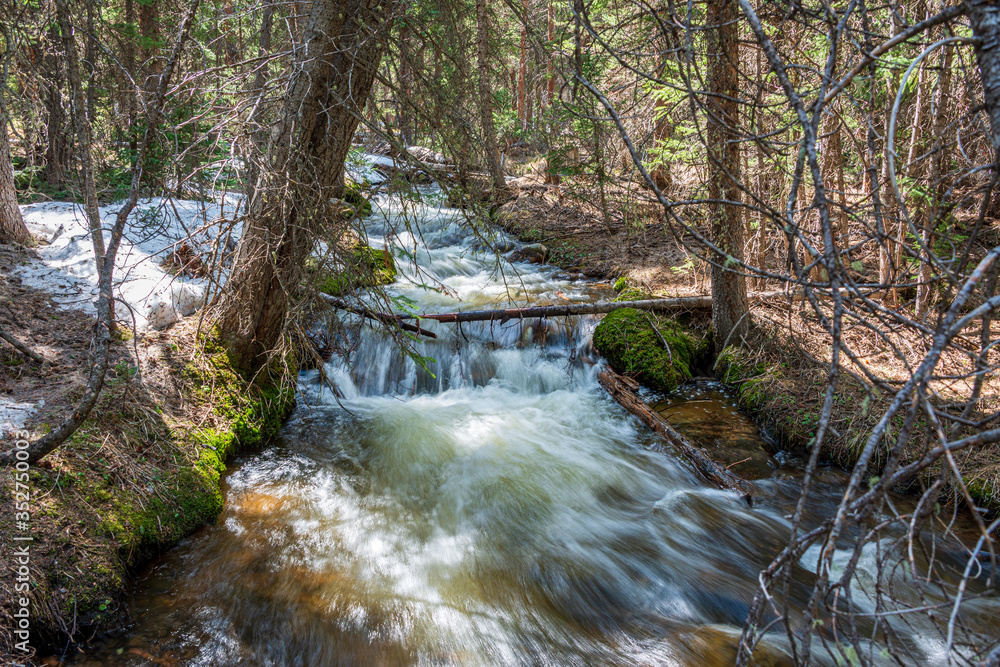 stream in the forest