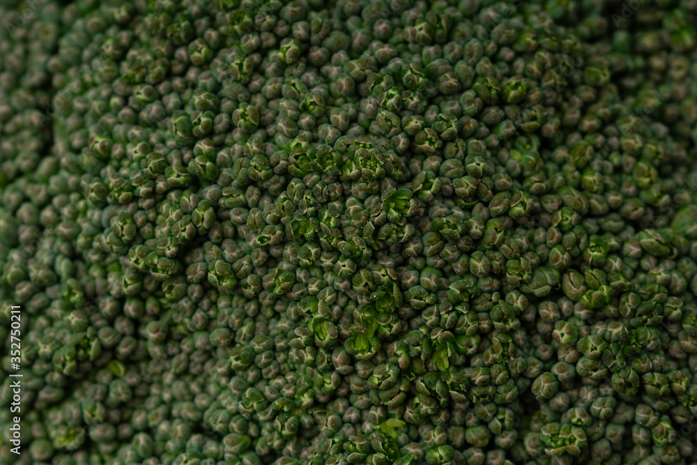 fresh green broccoli texture macro close up - detail of brocoli.wholesome food and veganism concept fresh green broccoli texture macro close up - detail of brocoli.wholesome food and veganism concept