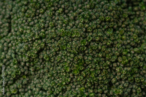 fresh green broccoli texture macro close up - detail of brocoli.wholesome food and veganism concept