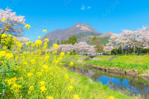 春の由布院 photo