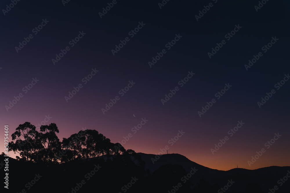 sunset sky with blue to purple to orange gradient colors (unedited) and moon over the hills with eucalyptus tree silhouettes sunset sky with blue to purple to orange gradient colors (unedited) and moon over the hills with eucalyptus tree silhouettes