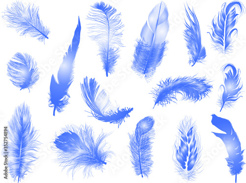 fifteen fluffy blue feathers isolated on white