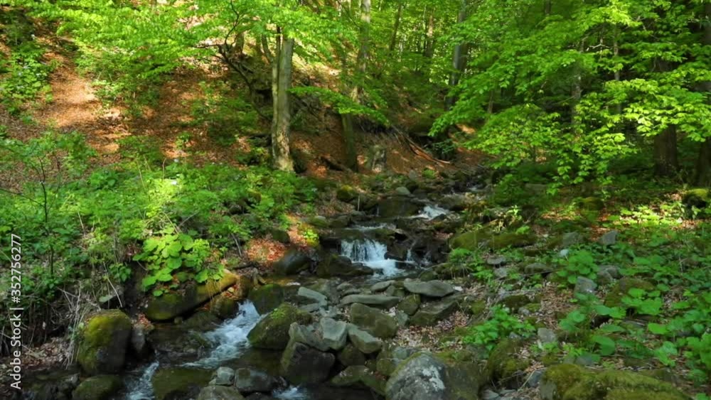 Forest mountain stream in the middle of the protected area of the Beskydy Lysa flowing from a steep slope along the rocky subsoil in slow motion. Forest mountain stream in the middle of the protected area of the Beskydy Lysa flowing from a steep slope along the rocky subsoil in slow motion.