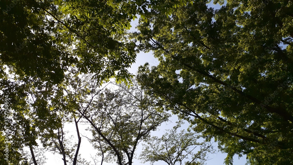 公園 公園