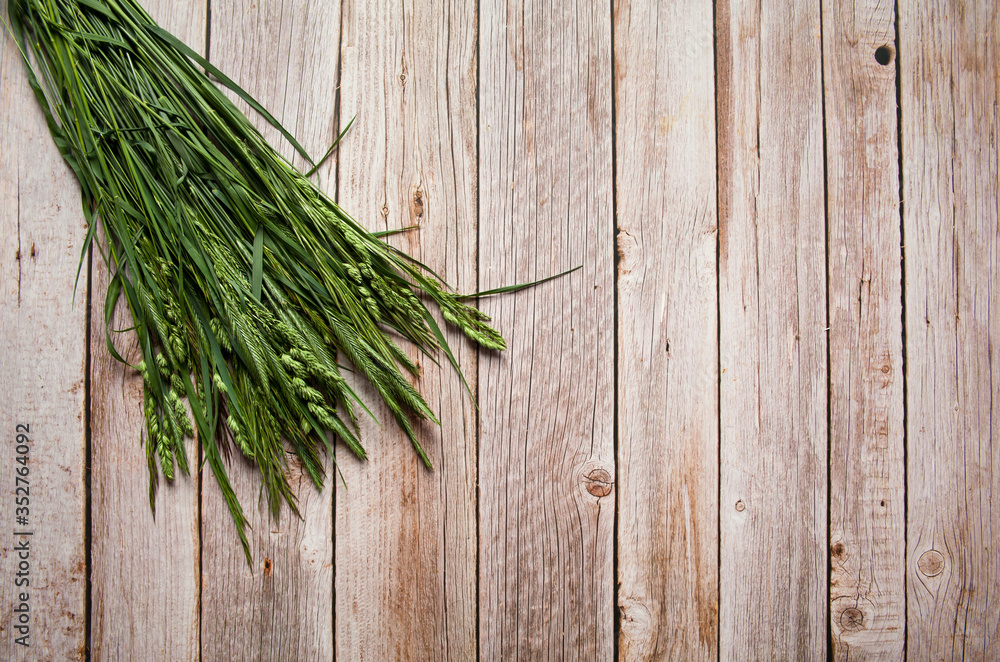 Flower composition. A bouquet of various green wild meadow grasses on a wooden background. Free space. Top view. Flower composition. A bouquet of various green wild meadow grasses on a wooden background. Free space. Top view.