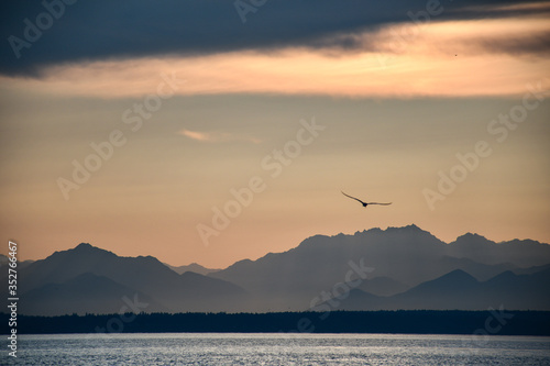 sunset over the sea with mountains in seattle washington