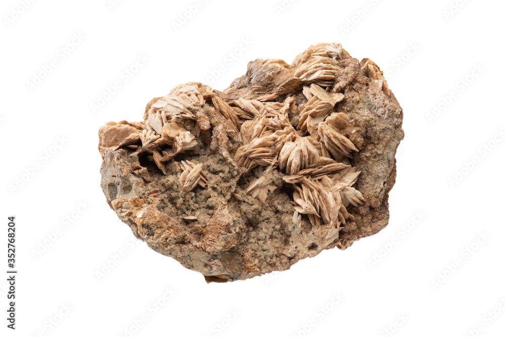 .Brown barite sulfate mineral on white background .Brown barite sulfate mineral on white background