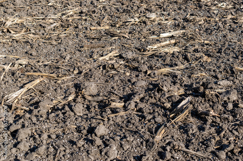 Soil with mineral fertilizer