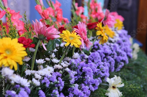 flower