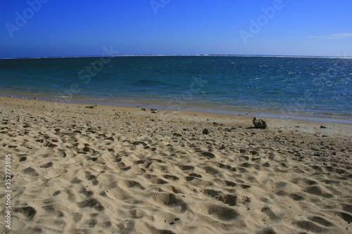 Corail sur une plage de la Réunion 3