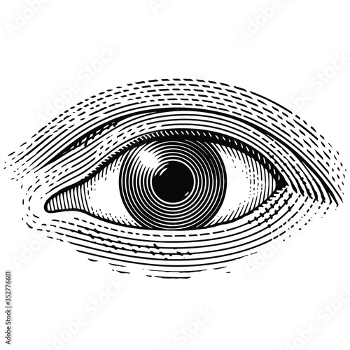 Illustration of an eye in a vintage woodcut style.