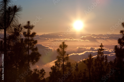 Teide National Park Sunset, Tenerife. The sun sets on the clouds over the horizon, silhouettes of pine trees.